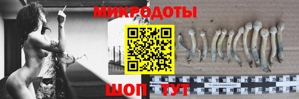 Псилоцибиновые грибы MAGIC MUSHROOMS  Вход с VPN  Назрань 
